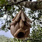 Cocoon Village