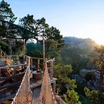 Cocoon Village * 维琪奥港