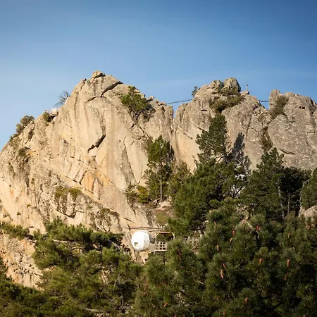 Cocoon Village Luxury tent