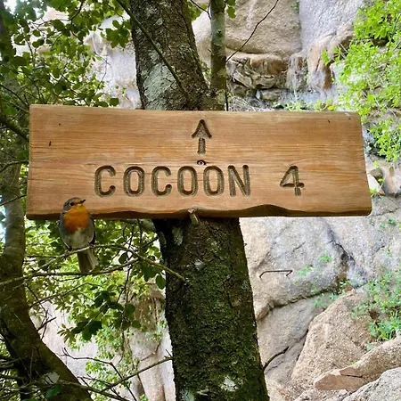 Cocoon Village Luxury tent