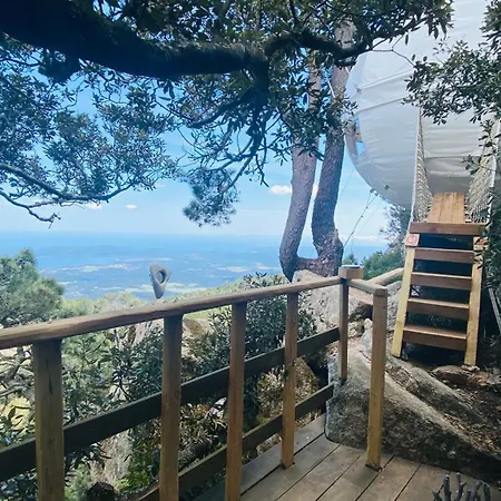 Cocoon Village Luxury tent Porto-Vecchio (Corsica)