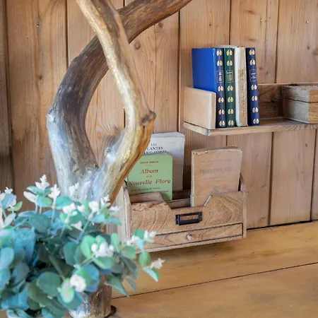 Cocoon Village Luxury tent *