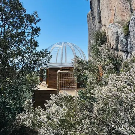 Cocoon Village Luxury tent *