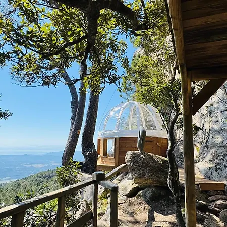 Cocoon Village Luxury tent *