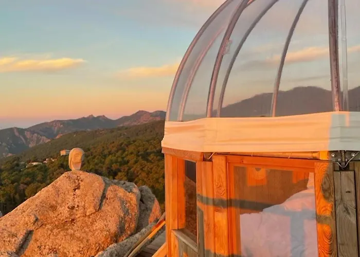 Cocoon Village Luxury tent