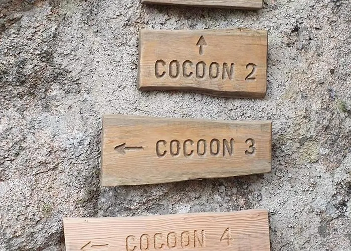 Cocoon Village *